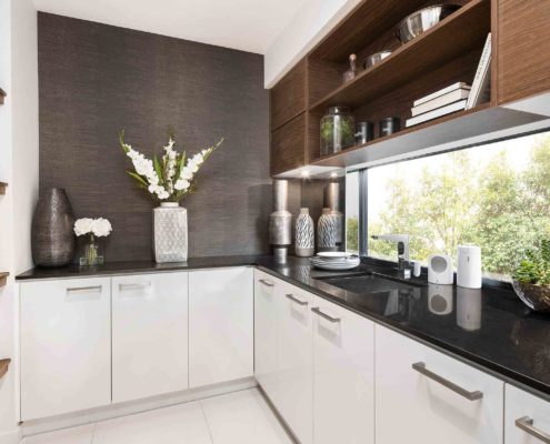 Modern luxury kitchen pantry